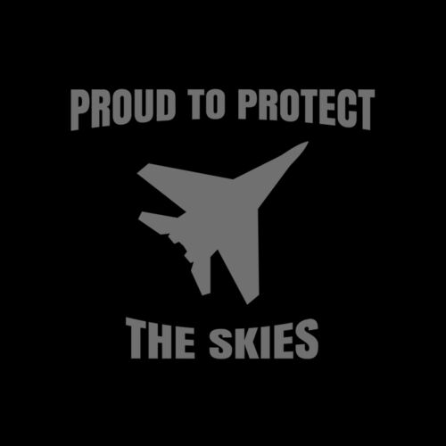 Air Force 07 Thumbnail