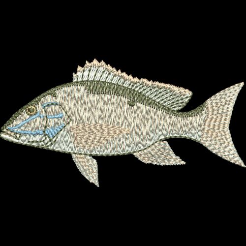 Mutton Snapper  Thumbnail