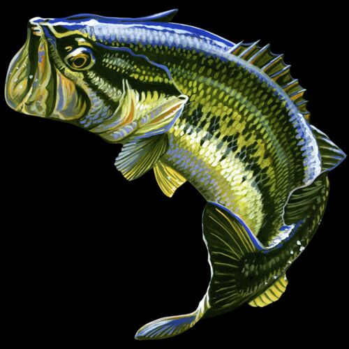 Largemouth Bass B-0936 Thumbnail