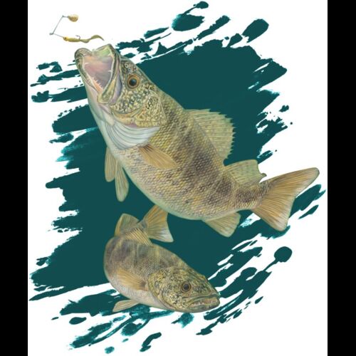 Rise To The Prize (Bass) by Artist Randy McGovern Thumbnail