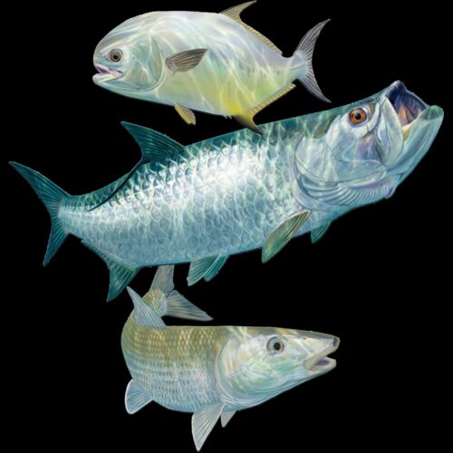 Flat Slam by Artist Randy McGovern Thumbnail