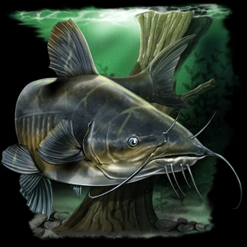 Catfish Thumbnail