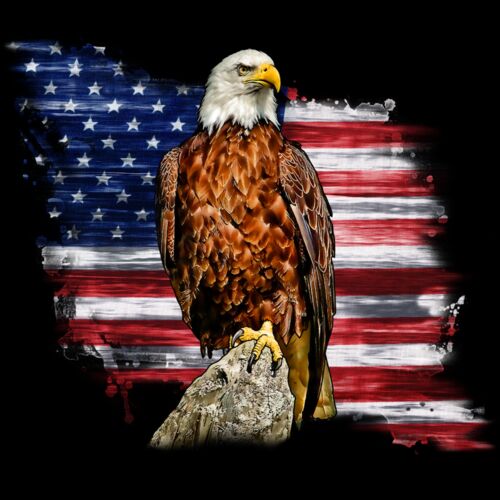 Forever Standing Eagle and flag Thumbnail