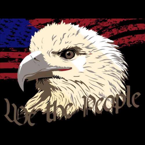 We The People _ Flag and Eagle head Thumbnail