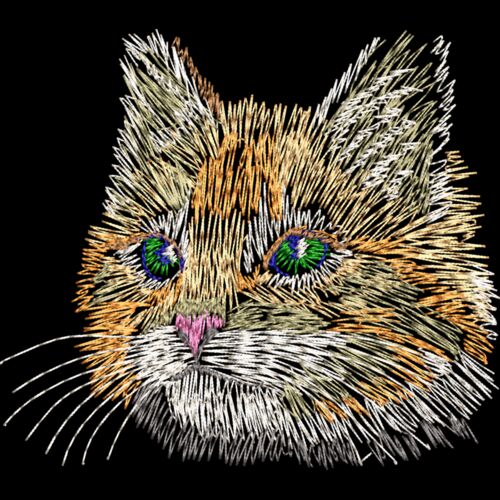 Cat head, kitten Thumbnail